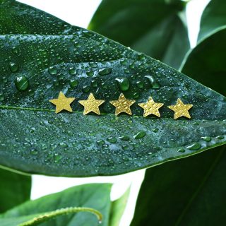 five stars on a leaf representing happiness guarantee
