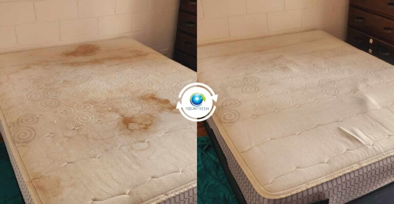 before and after - mattress steam cleaning